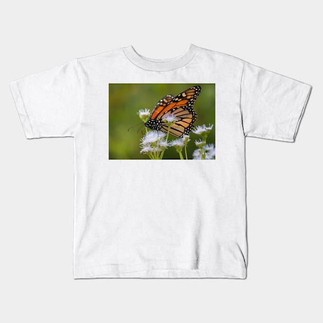 Monarch Migration Kids T-Shirt by Jacquelie